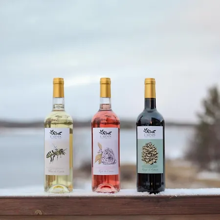 Hotel Inari 3* Inari