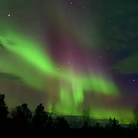 Hotel Inari Отель 3*