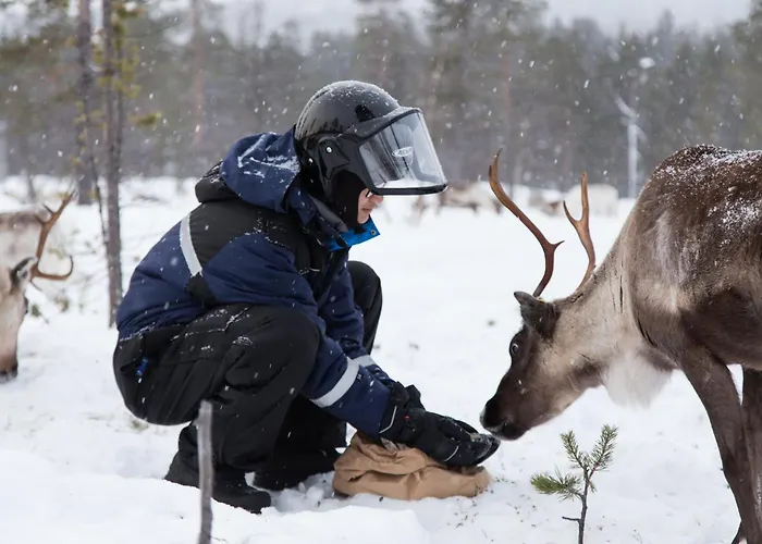 Hotel Inari Hotel 3*