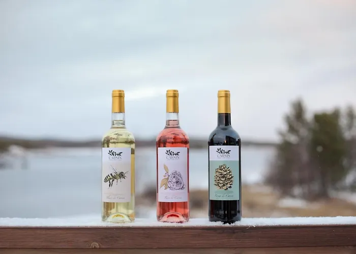 Hotel Inari 3* Inari